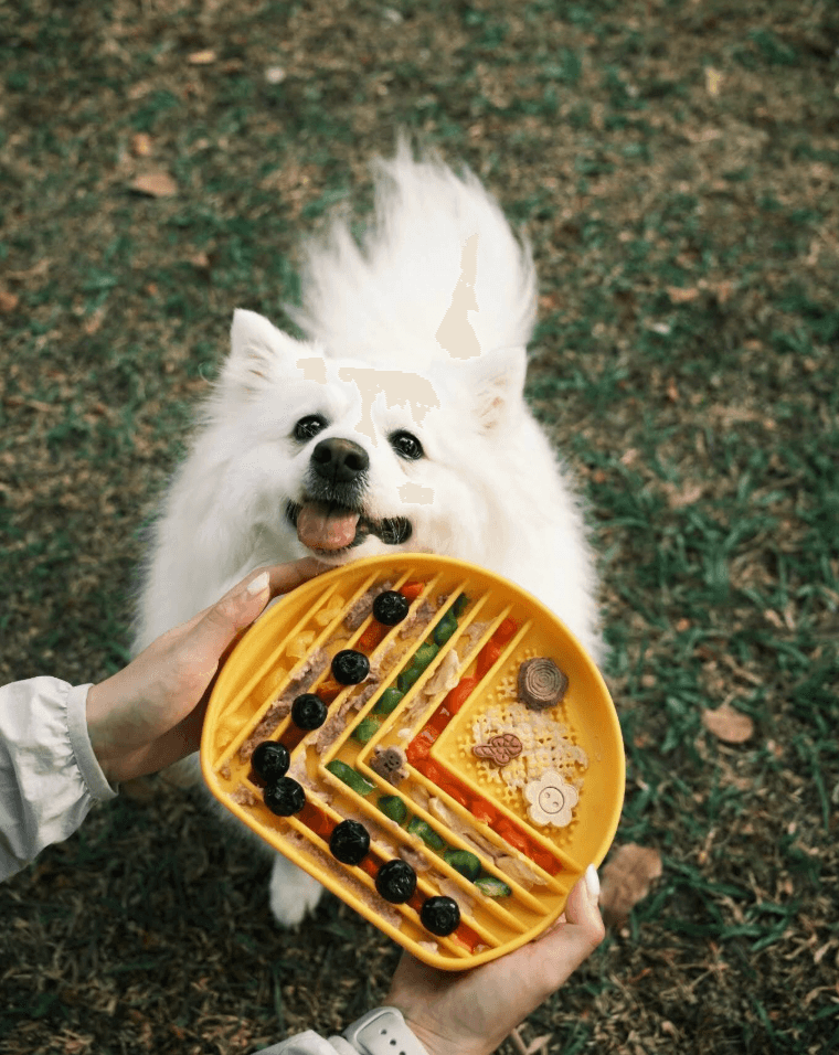 Kubi Pets x KOC Marketing