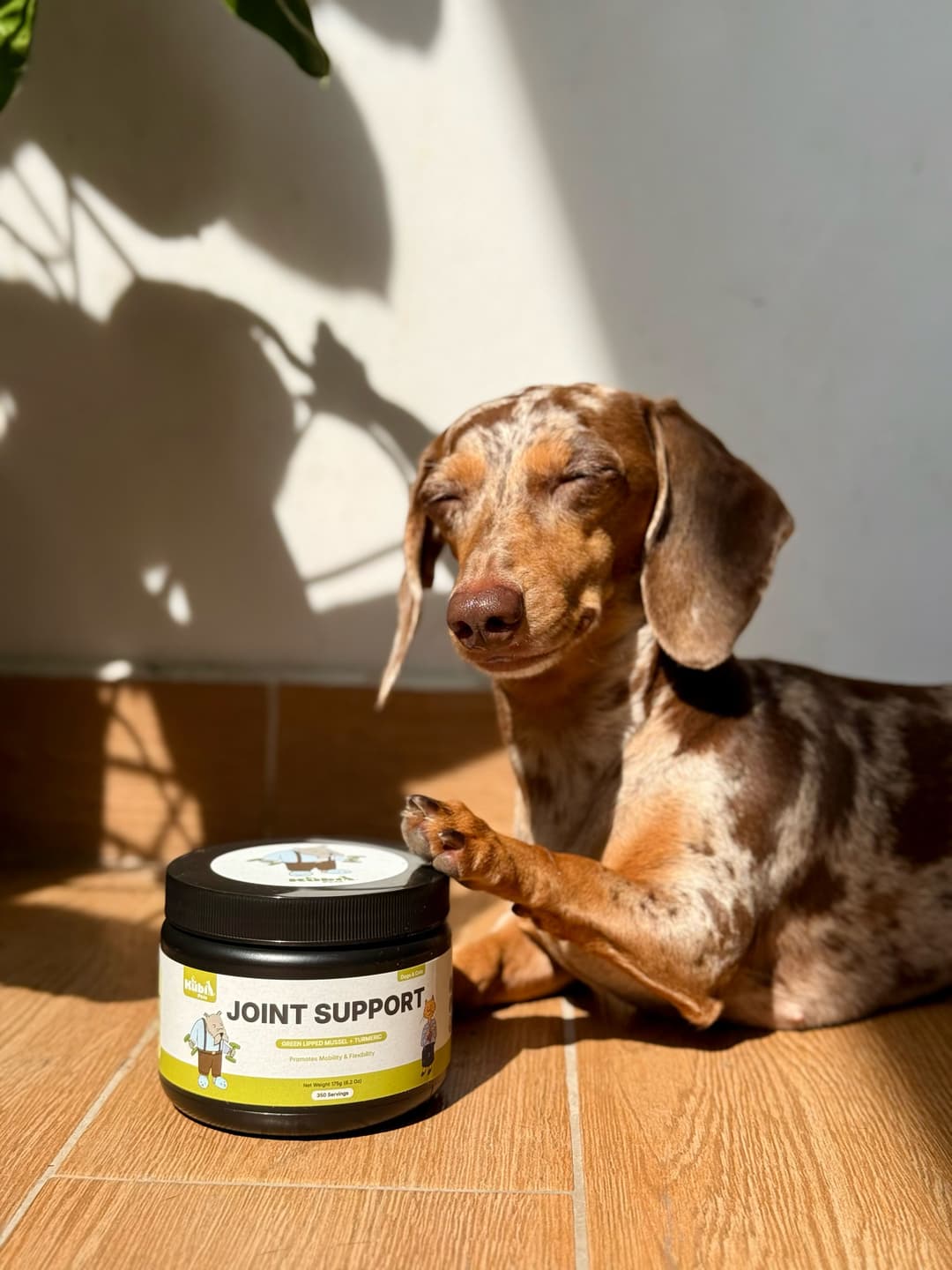 Kubi Pets x Product Reviews Campaign