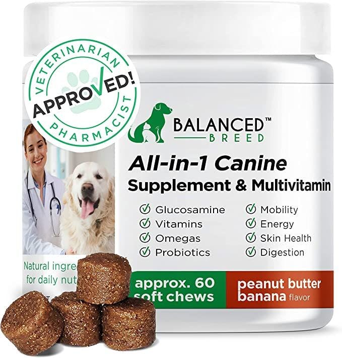 All in One Dog Multivitamin Supplements for Dogs