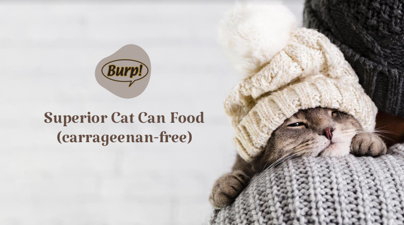 Your catto's superior meal by Burp!