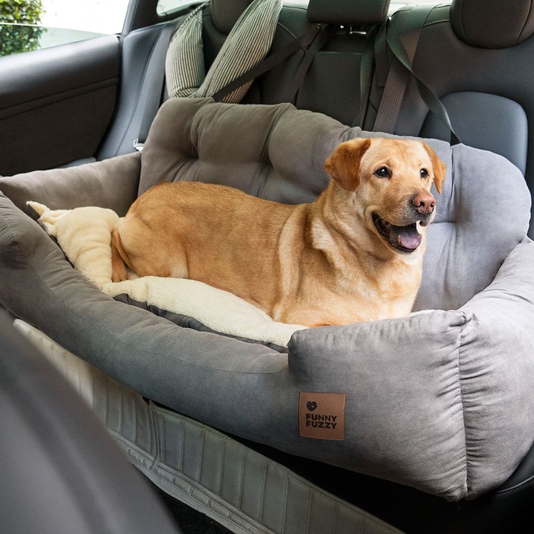FunnyFuzzy Journal: All for pets Take care of every furry baby