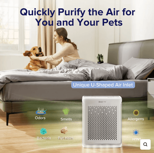 Levoit SG (April 2024)