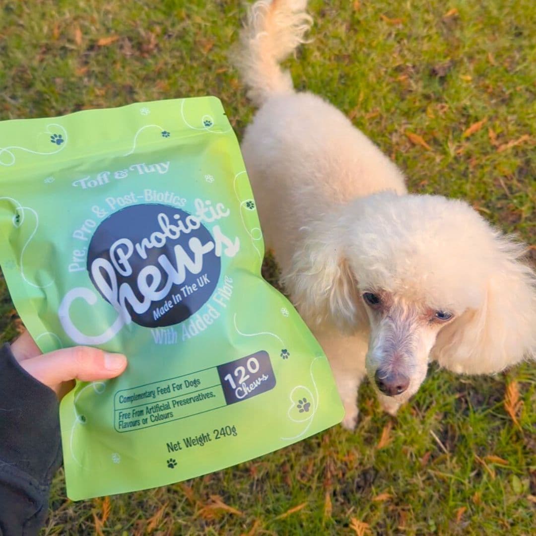 Probiotic Chews (Pre, Pro & Post Biotics)