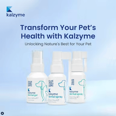 Kalzyme x UGC Videos (August 2024)