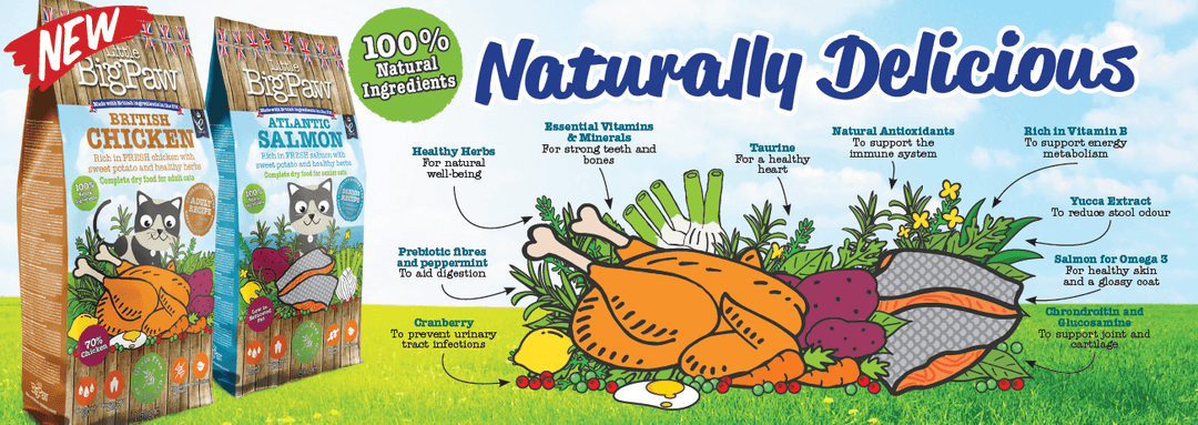 Little BigPaw - Cat Dry Food Campaign