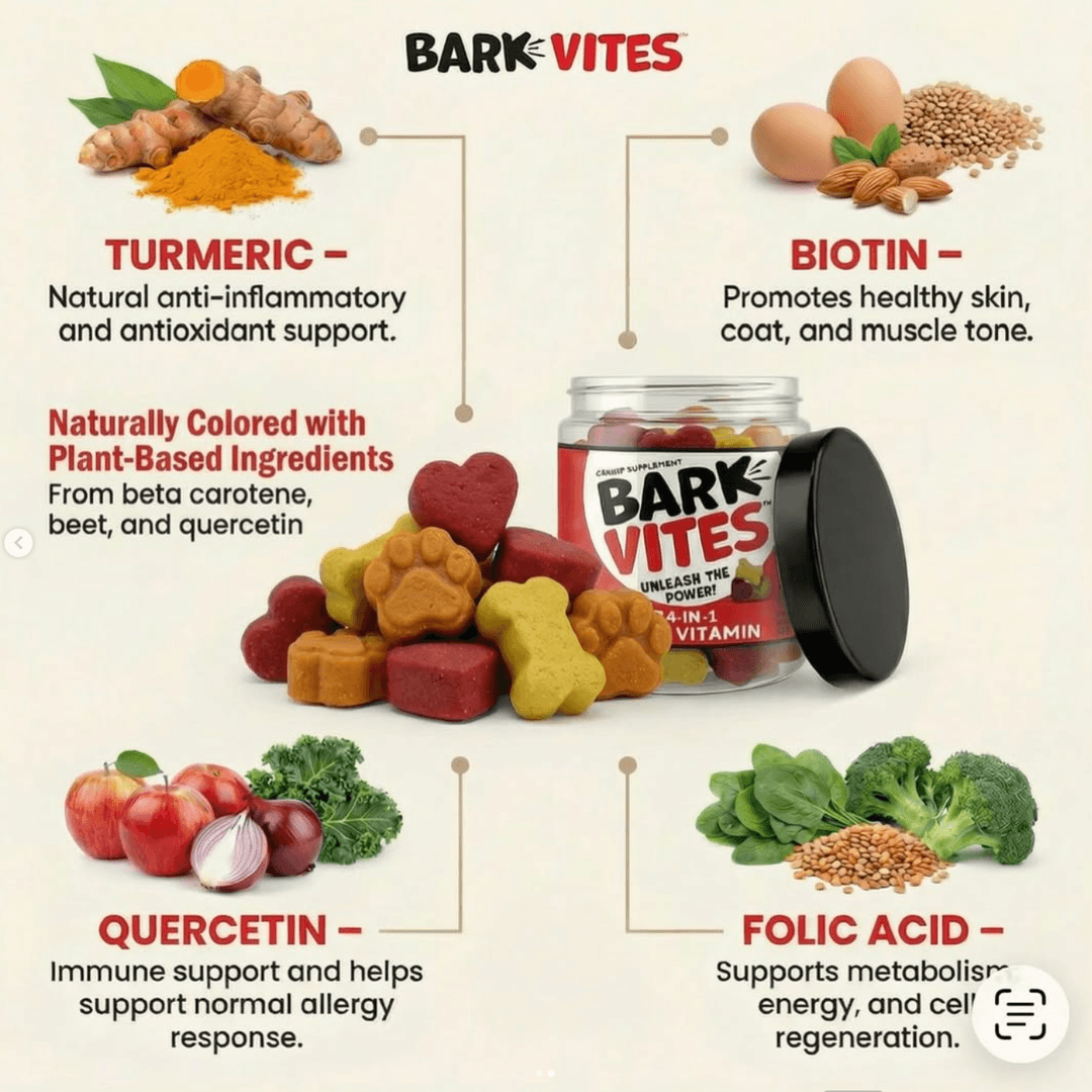 BarkVites Influencer Campaign