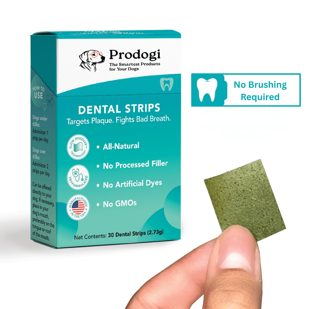 Prodogi Testimonial Campaign