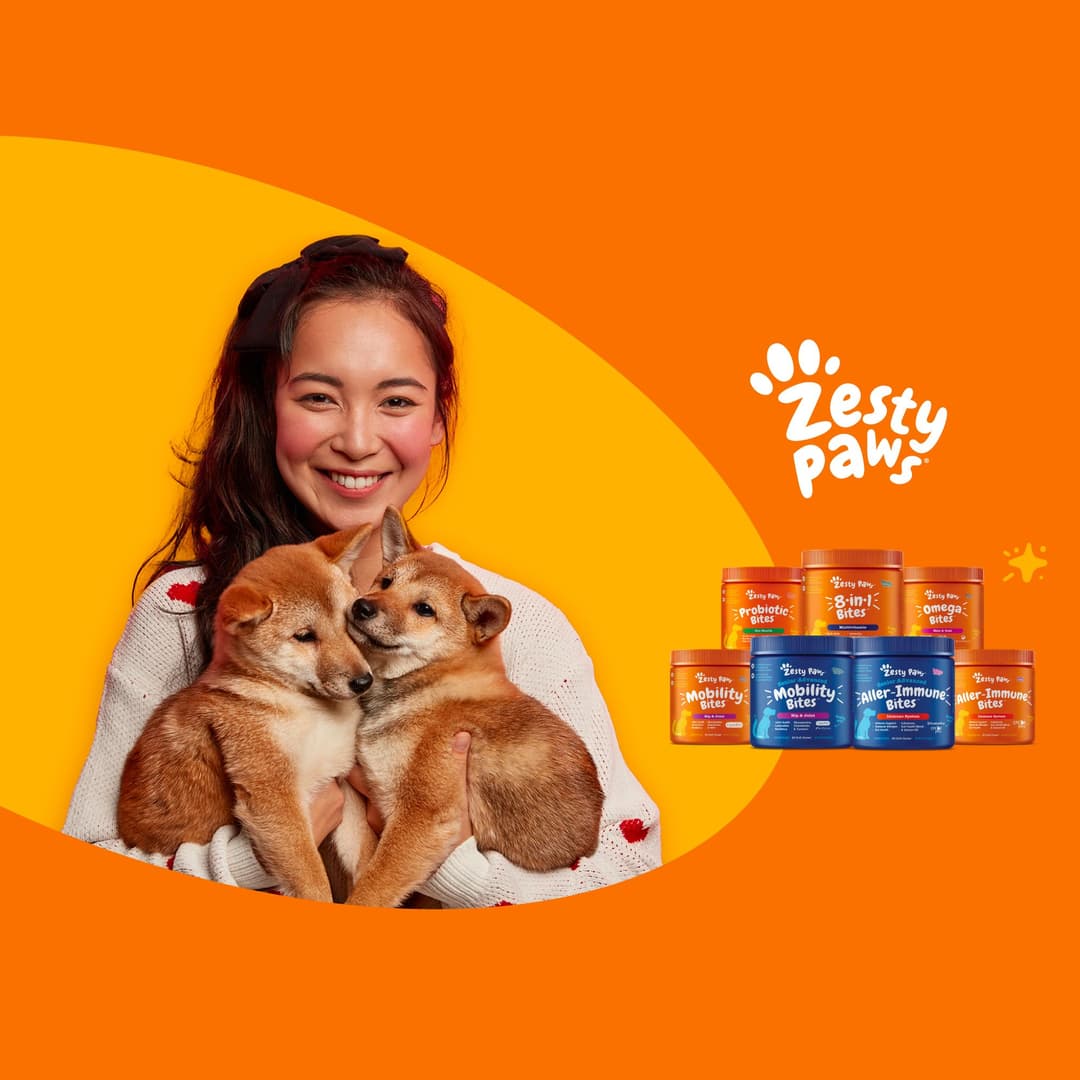 Zesty Paws x Cat Influencers