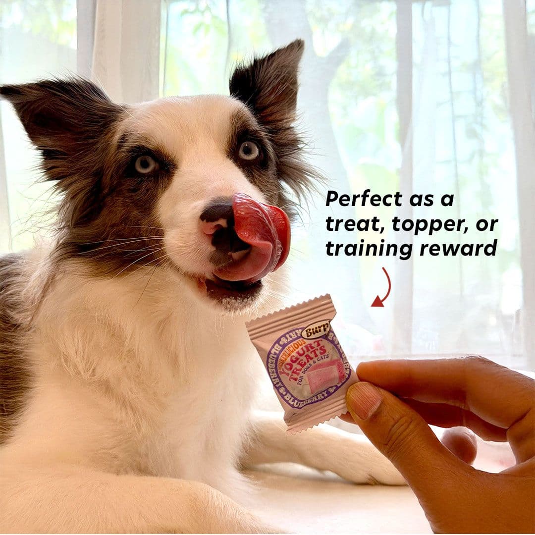 PLC: Burp! Whiskerlicious Treats (Dogs + Cats)