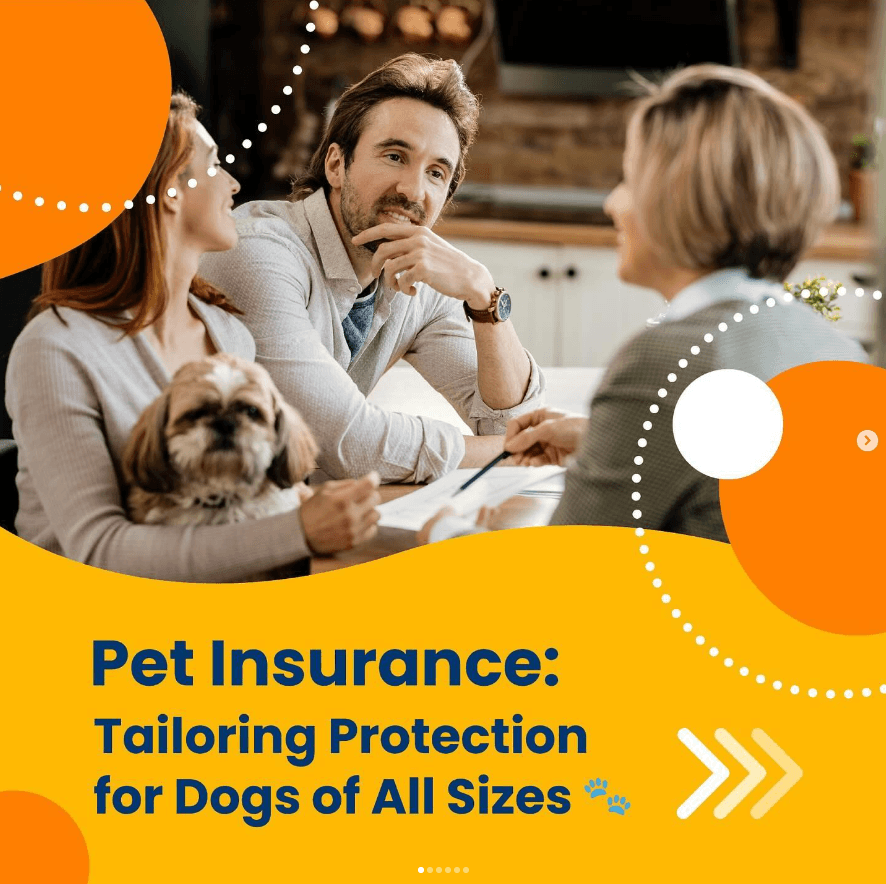 Aon Happy Tails (2025)