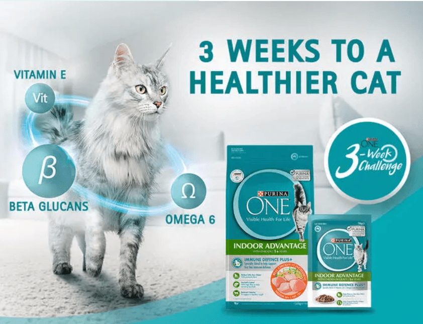 Purina ONE x 3 Weeks Challenge | Nano Influencers (1K & Above)