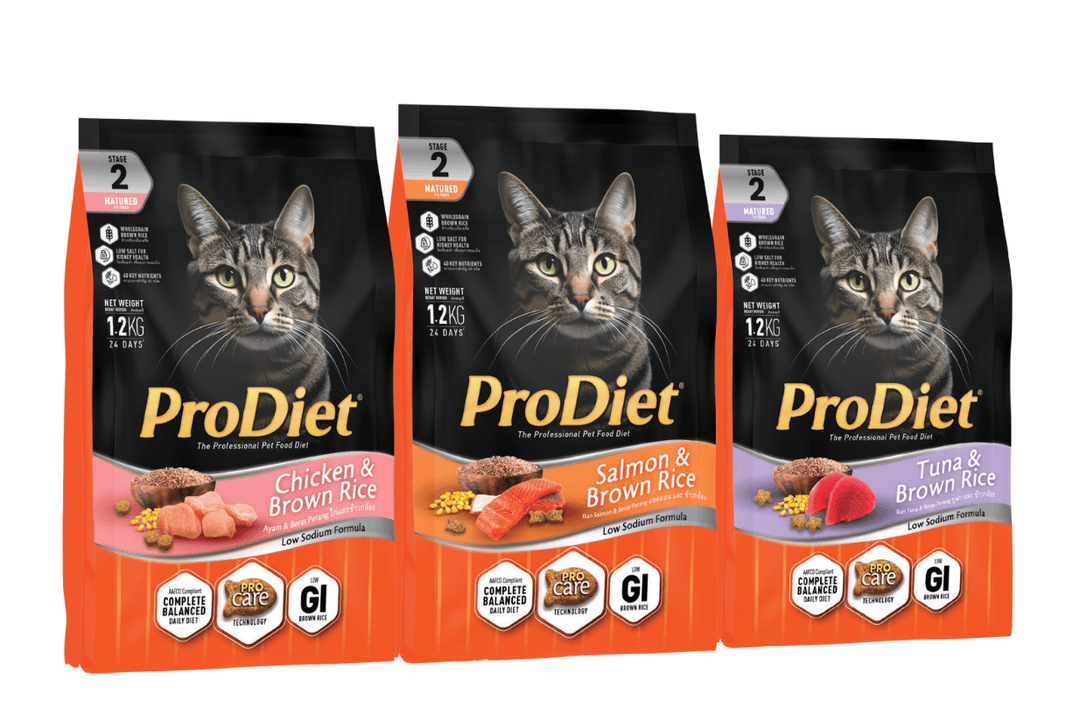 ProDiet - Cat Dry & Wet Food Campaign (Q1 2026)