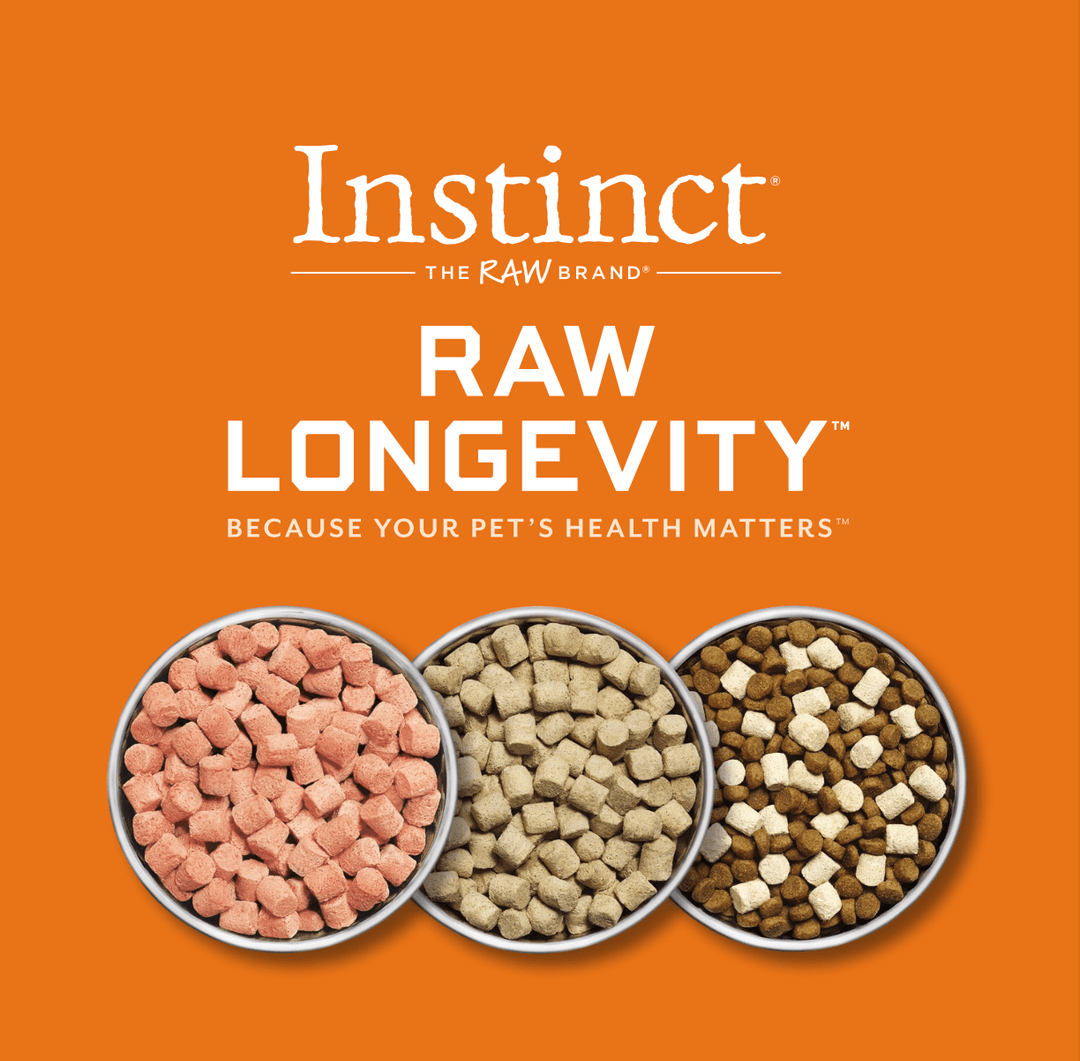 Instinct Singapore x UGC videos